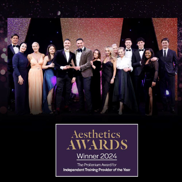 Aesthetics Awards Winners